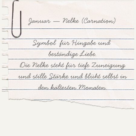 Alternative view of Essence Ring-Januar