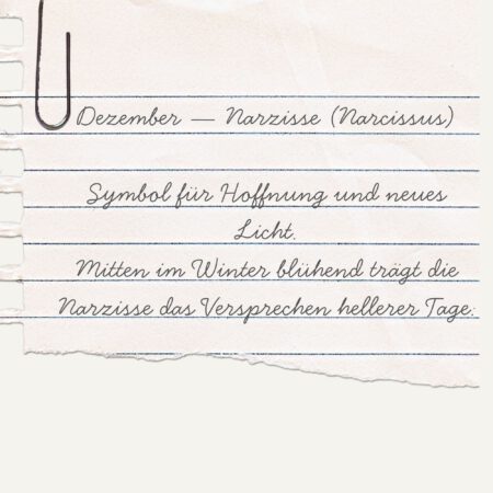 Alternative view of Essence Ring-December