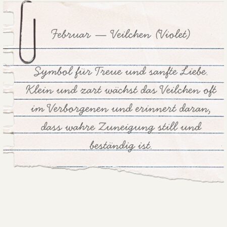 Alternative view of Essence Ring-Februar