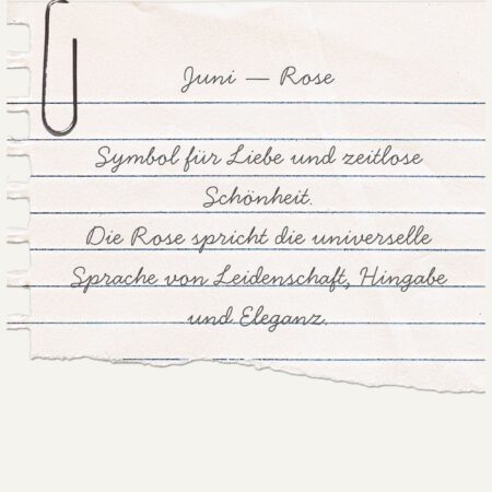 Alternative view of Essence Ring-Juni