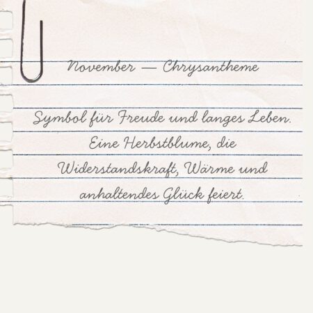 Alternative view of Essence Ring-November