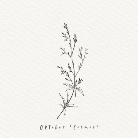 Essence Ring-Oktober