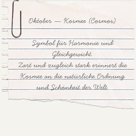 Alternative view of Essence Ring-Oktober