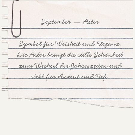 Alternative view of Essence Ring-September